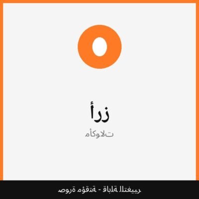 أرز